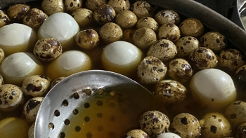 Hột vịt lộn nước dừa Vũng Tàu – Món ăn vặt thanh mát, không nên bỏ qua