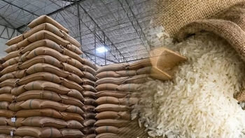 Gạo Việt tăng giá nhẹ giữa biến động thị trường toàn cầu