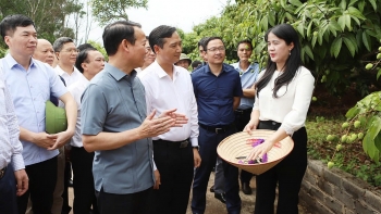 Bộ trưởng Đỗ Đức Duy: Vải thiều Bắc Giang đã tạo dựng được chuỗi giá trị mẫu mực