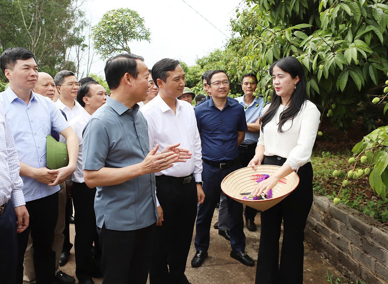 Bộ trưởng Bộ Nông nghiệp và Môi trường Đỗ Đức Duy, Chủ tịch UBND tỉnh Nguyễn Việt Oanh và các đại biểu thăm mô hình sản xuất vải thiều xuất khẩu tại xã Phúc Hòa, huyện Tân Yên.