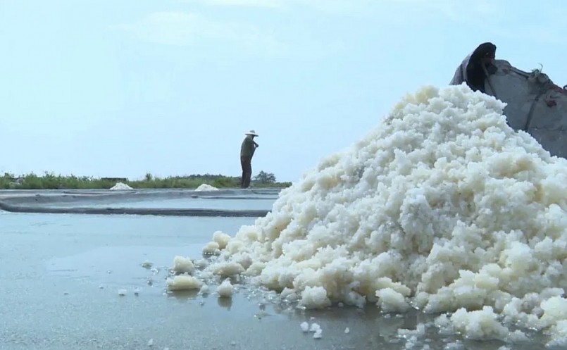 Thái Bình vinh danh nghề làm muối Thụy Hải là Di sản Quốc gia