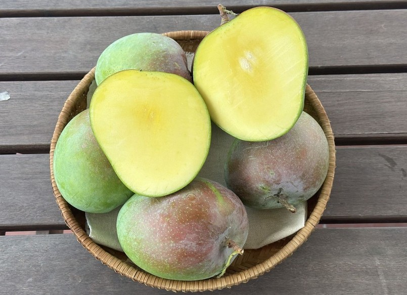 Chất chống oxy hóa zeaxanthin trong xoài giúp lọc ánh sáng xanh có hại, hỗ trợ phòng ngừa thoái hóa điểm vàng do tuổi tác. Chất chống oxy hóa zeaxanthin trong xoài giúp lọc ánh sáng xanh có hại, hỗ trợ phòng ngừa thoái hóa điểm vàng do tuổi tác.