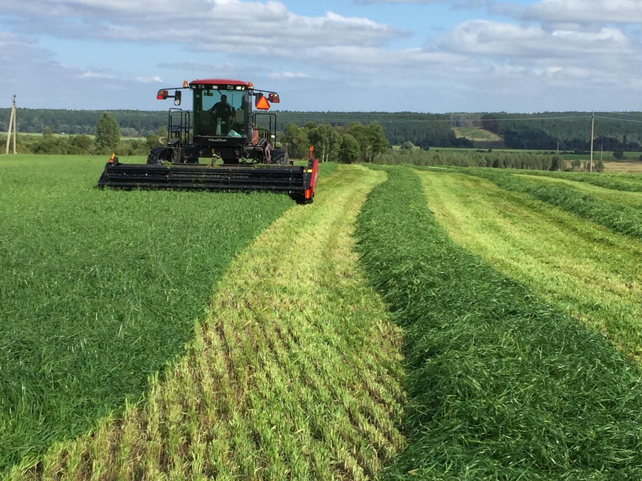 TH khánh thành nhà máy sữa tại Nga: Dấu mốc mới cho thương hiệu Việt toàn cầu