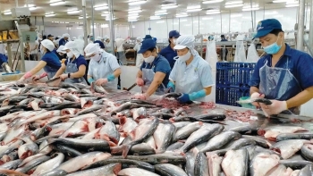 Xuất khẩu nông, lâm, thủy sản đạt hơn 21 tỷ USD: Nỗ lực vượt sóng thương mại