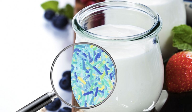 Tiêu thụ sữa chua như một bữa phụ khoảng 1,5–2 giờ trước khi ngủ có thể giúp duy trì mức đường huyết ổn định trong đêm.