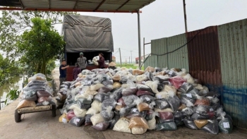 Danh sách loạt thực phẩm chức năng giả do MEDIUSA và MediPhar sản xuất