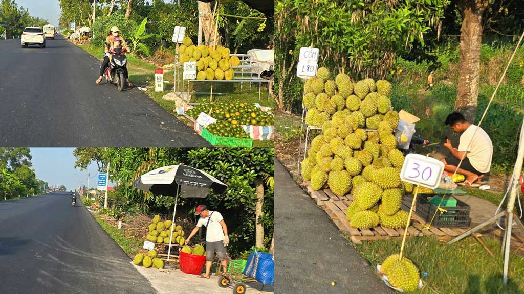 Nhiều nhà vườn tập kết sầu riêng ra lề đường bán tại Quốc lộ 61C. Ảnh: Thành Nhân