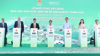 Khởi công Nhà máy sản xuất ván tre ép OSB lớn nhất thế giới tại Thanh Hóa