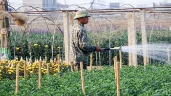 Linh Sơn: Từ huyền thoại hang động đến vùng quê nông nghiệp hiện đại