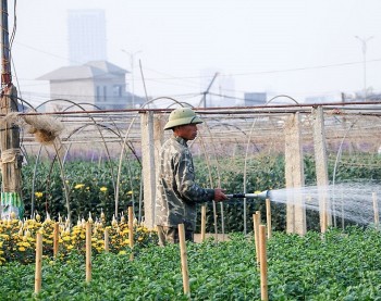 Linh Sơn: Từ huyền thoại hang động đến vùng quê nông nghiệp hiện đại