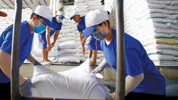Chuẩn bị ban hành Thông tư mới về xuất khẩu gạo: Bỏ điều 26 Thông tư 42