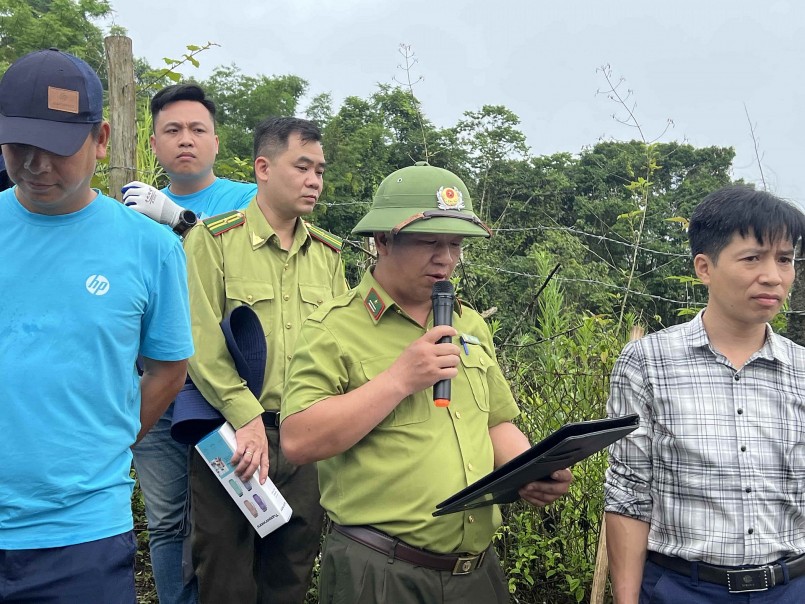 Phủ xanh Tây Bắc, phục hồi rừng tự nhiên với 30.000 cây xanh