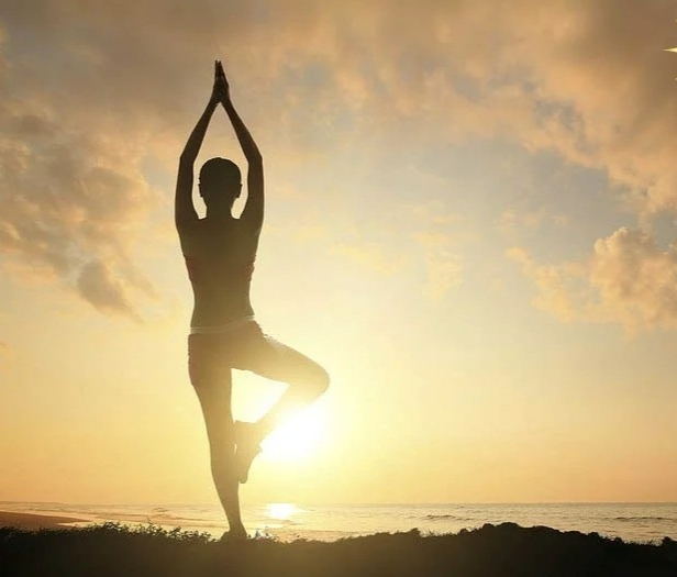 Yoga buổi sáng với các động tác cơ bản không chỉ giúp cơ thể dẻo dai mà còn mang lại sự cân bằng về tinh thần.