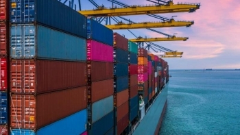 Tự chuyển mình để thích nghi: Giải pháp căn cơ cho xuất khẩu việt nam