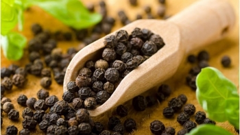 Giá tiêu trong nước chững lại, thị trường thiếu động lực bứt phá