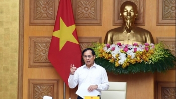 Phó Thủ tướng: Không để buôn lậu, hàng giả hoành hành gây hại cho người dân