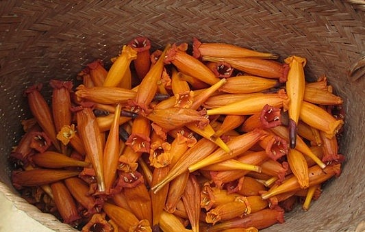 4 món ngon “níu chân” du khách của người Thái bên dòng Nậm Bai 4 món ngon “níu chân” du khách của người Thái bên dòng Nậm Bai