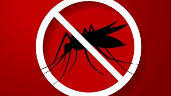 Chủ động phòng ngừa sốt xuất huyết để bảo vệ sức khỏe