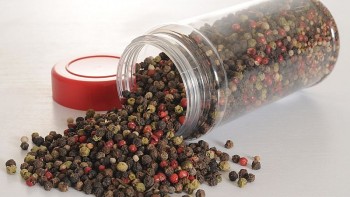 Giá tiêu neo quanh mốc 150.000 đồng/kg, áp lực giảm gia tăng