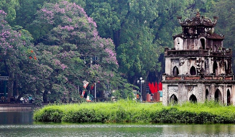 Hoa bằng lăng soi bóng xuống hồ Gươm, tạo nên sắc tím nhẹ nhàng, thơ mộng.