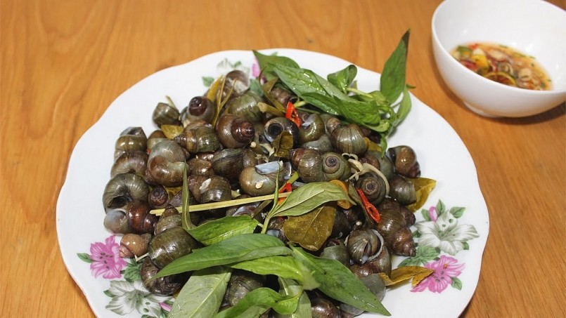 Ốc gạo bước vào mùa sinh sản khoảng tháng 7 âm lịch