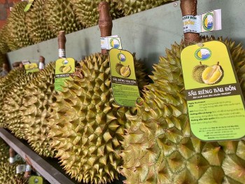 Thêm 829 vùng trồng, 131 cơ sở đóng gói sầu riêng được phép xuất khẩu sang Trung Quốc