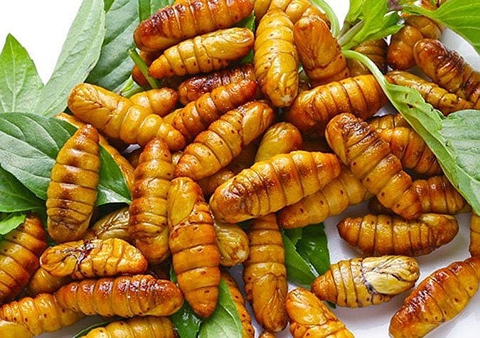 Bác sĩ khuyến cáo người dân khi mua nhộng tằm về chế biến thức ăn cần chú ý chọn loại còn tươi, có nguồn gốc rõ ràng.