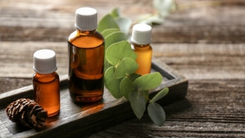 Tinh dầu khuynh diệp – “vị thuốc tự nhiên” đa công dụng được ưa chuộng