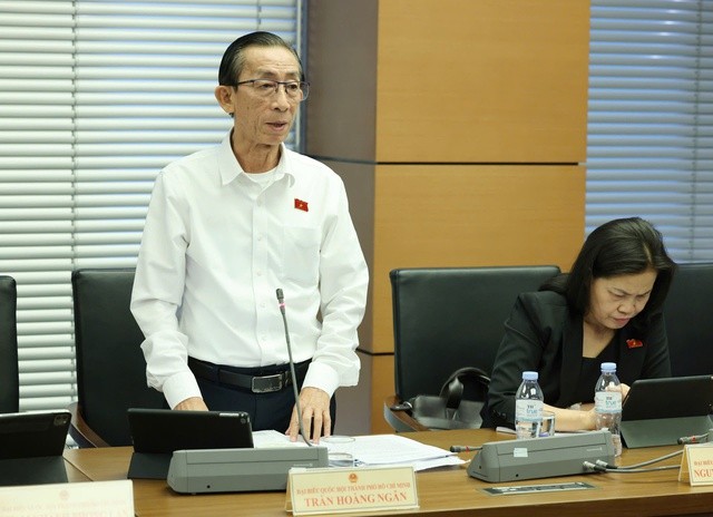 Đại biểu Trần Hoàng Ngân.