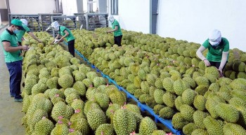Nông sản Việt nỗ lực thích ứng trong “cuộc chơi” thị trường khắt khe