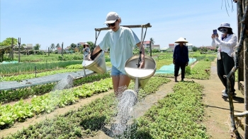 Tạo sức bật cho du lịch Việt Nam