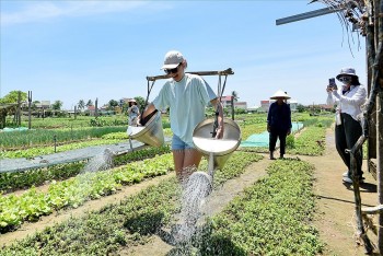 Tạo sức bật cho du lịch Việt Nam