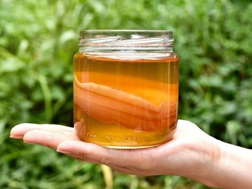 Kombucha (trà nấm thủy sâm)  Là loại nước giải khát được lên men từ trà đen hoặc trà xanh, chứa nhiều probiotic