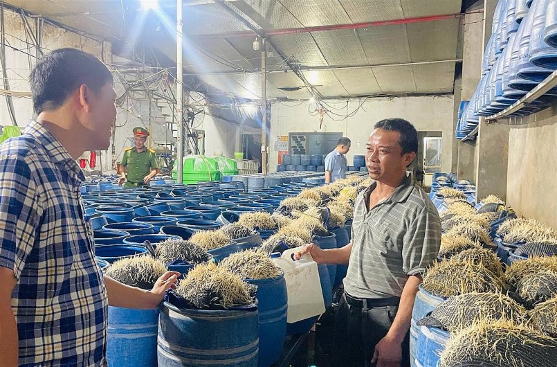 Mỗi ngày có hàng tấn giá đỗ được 2 cơ sở này tuồn ra thị trường cho người tiêu dùng. Ảnh: ND