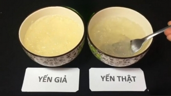 6 cách nhận biết tổ yến thật - giả