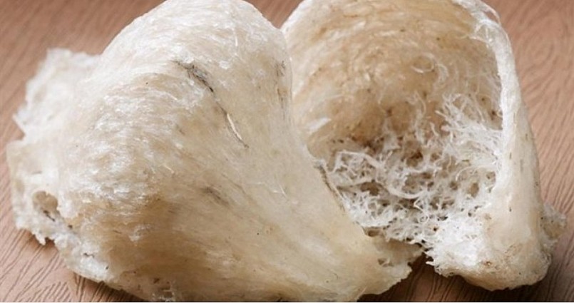 Trên thị trường hiện nay, tổ yến được chia làm ba loại chính: yến tự nhiên, yến nhà và yến giả.