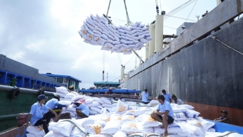 Đề nghị gỡ rào cản trong kinh doanh xuất khẩu gạo