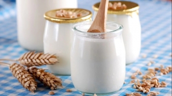 Người đau dạ dày có nên ăn sữa chua?