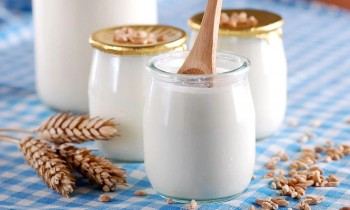 Người đau dạ dày có nên ăn sữa chua?