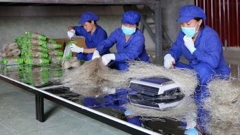 OCOP – Sức sống mới từ những giá trị quê hương