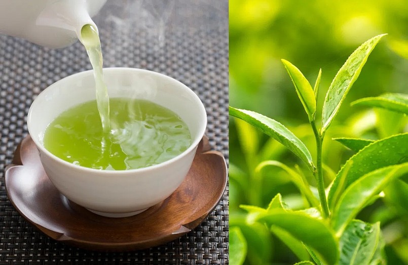 Theo ThS.BS. Nguyễn Văn Tiến (Viện Dinh dưỡng Quốc gia), chè xanh có thể tương tác với một số thành phần trong thuốc, làm giảm hiệu quả điều trị. 