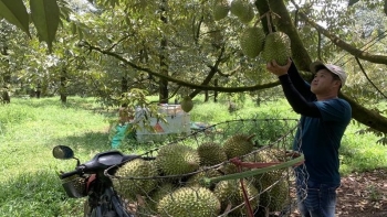 Mở rộng kết nối, lan tỏa giá trị nông sản Việt