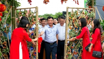 Kết nối nông sản vào chuỗi giá trị toàn cầu từ vườn vải chín