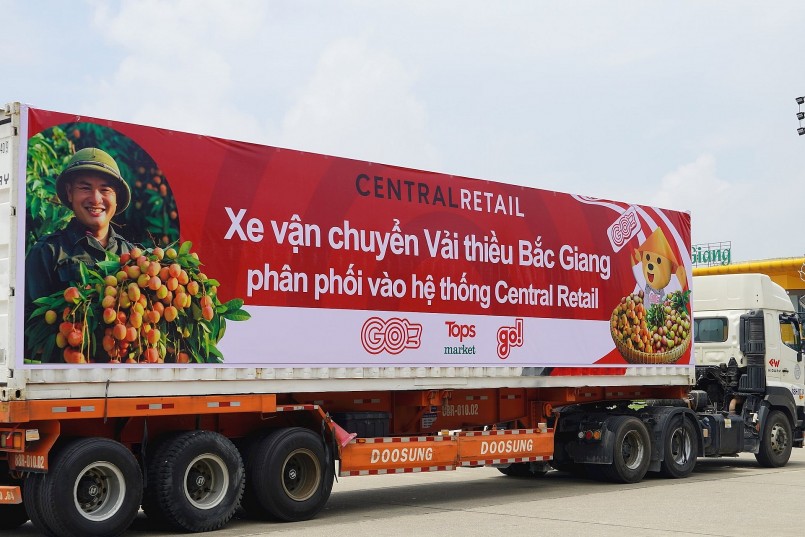 Central Retail trên toàn quốc sẽ tiêu thụ khoảng 1.000 tấn vải thiều, tăng gấp đôi so với năm ngoái. 