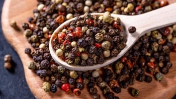 Giá tiêu hôm nay tiếp tục giảm mạnh tại nhiều vùng trồng trọng điểm