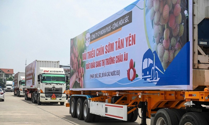 Thủ tướng yêu cầu các tỉnh có cửa khẩu, nhất là các địa phương khu vực biên giới phía Bắc chủ động theo dõi, điều tiết lưu thông tại cửa khẩu, tránh ùn ứ nông sản, đảm bảo hoạt động xuất khẩu diễn ra thông suốt, hiệu quả.