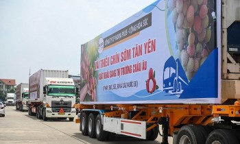 Giải pháp chống “được mùa mất giá” cho nông sản