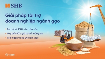 SHB tung gói tài chính toàn diện hỗ trợ doanh nghiệp ngành gạo, đồng hành cùng Chính phủ phát triển nông nghiệp bền vững