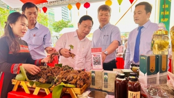 Thiếu điểm chạm văn hóa, du lịch Việt tự đánh rơi cơ hội