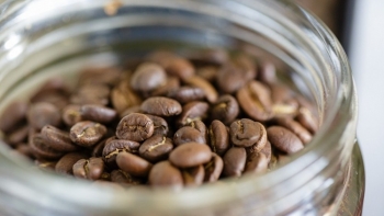 Cà phê robusta giảm mạnh, arabica phục hồi nhẹ trong phiên đầu tuần